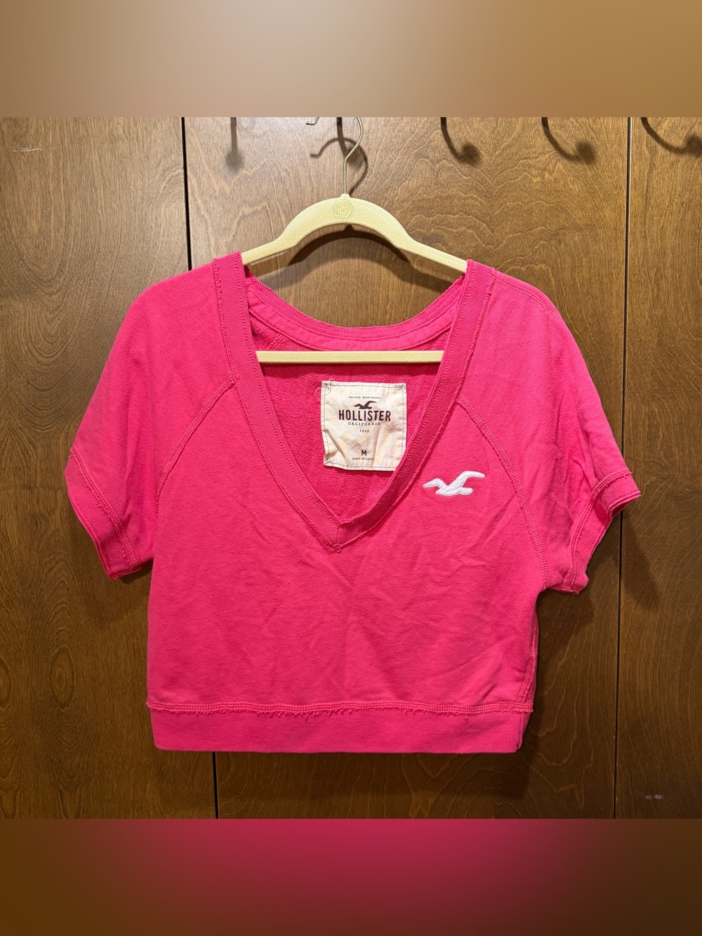 Vintage 2000s Hollister Hot Pink V-Neck Crop Tee